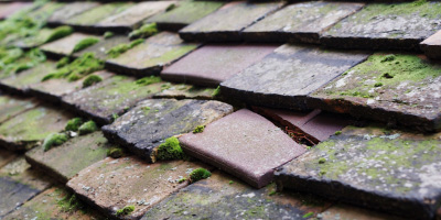 Shoeburyness roof repair costs